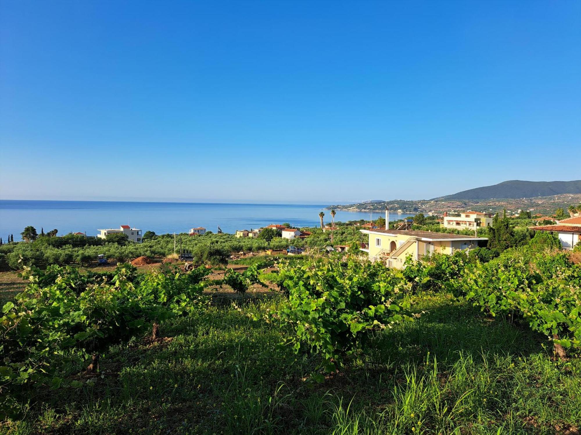 Takis Bizos House 1 Villa Koroni  Ngoại thất bức ảnh